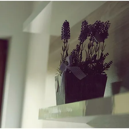 Sea&sun Świnoujście